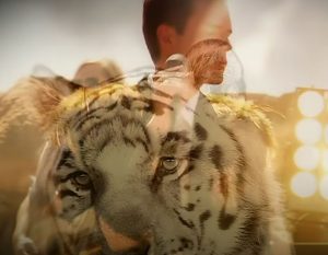 Fotograma del videoclip Human en que se sobreposa un tigre blanc i Brandon Flowers, cantant de the Killers