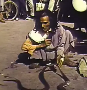 Escena de Come out and play amb serps domades